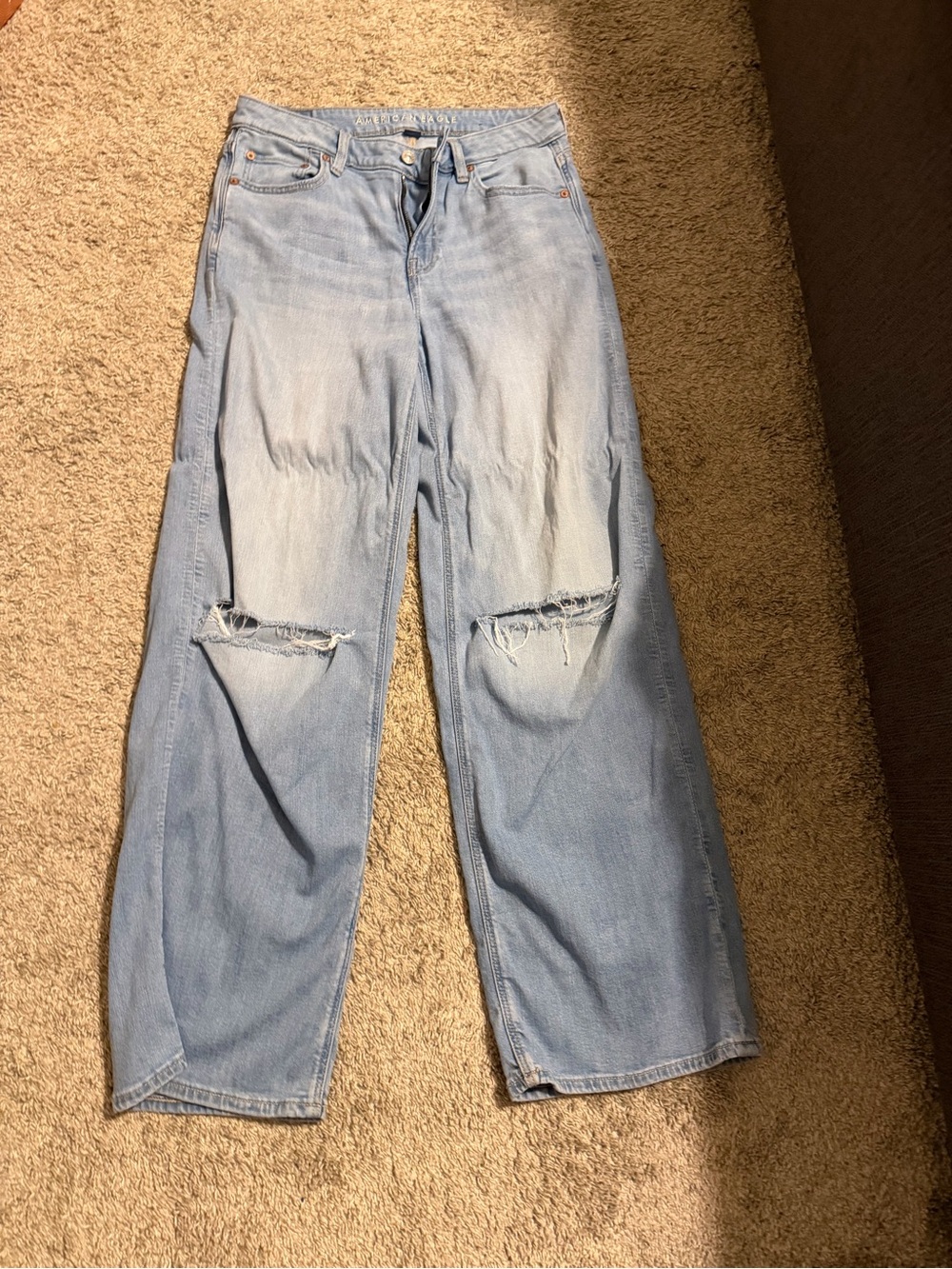 American Eagle Baggy Wide Leg Jeans